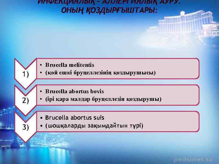 ИНФЕКЦИЯЛЫҚ - АЛЛЕРГИЯЛЫҚ АУРУ. ОНЫҢ ҚОЗДЫРҒЫШТАРЫ: 1) • Brucella melitentis • (қой ешкі бруцеллезінің