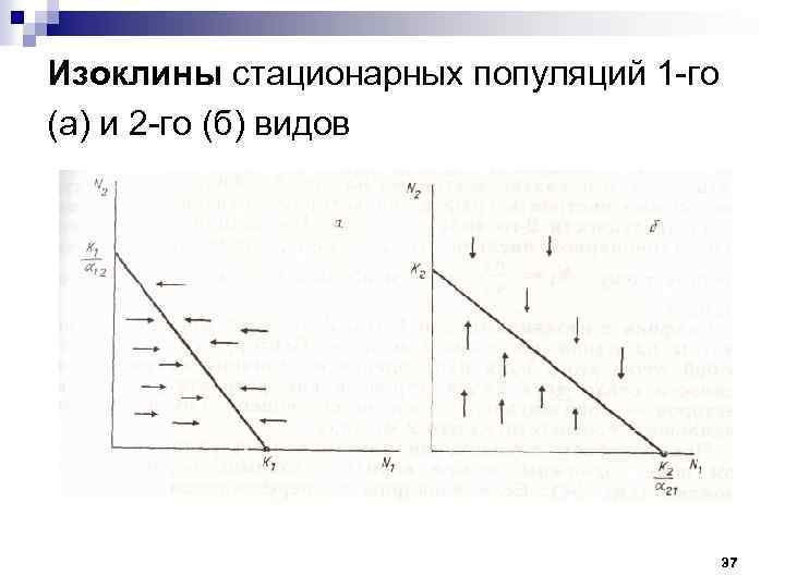 Изоклины стационарных популяций 1 -го (а) и 2 -го (б) видов 37 