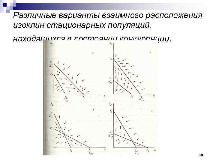 Различные варианты взаимного расположения изоклин стационарных популяций, находящихся в состоянии конкуренции. 38 