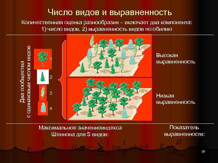 Выше представленные. Выравненность видов. Оценка разнообразии видов. Видовое богатство и выравненность. Видовое разнообразие и выровненность.