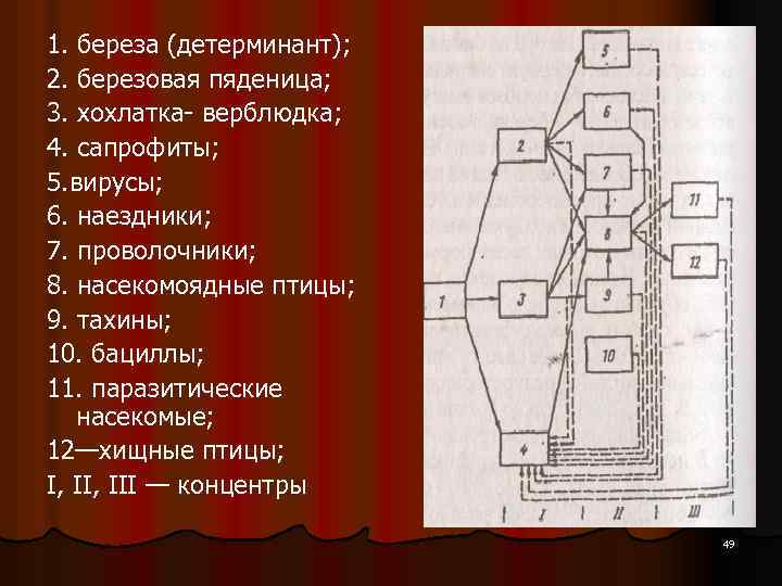 1. береза (детерминант); 2. березовая пяденица; 3. хохлатка верблюдка; 4. сапрофиты; 5. вирусы; 6.