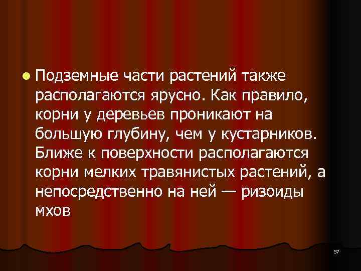 l Подземные части растений также располагаются ярусно. Как правило, корни у деревьев проникают на