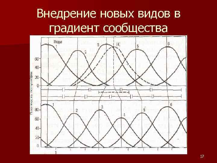 Внедрение новых видов в градиент сообщества 17 