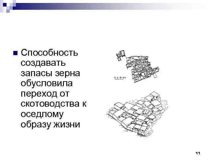 n Способность создавать запасы зерна обусловила переход от скотоводства к оседлому образу жизни 11
