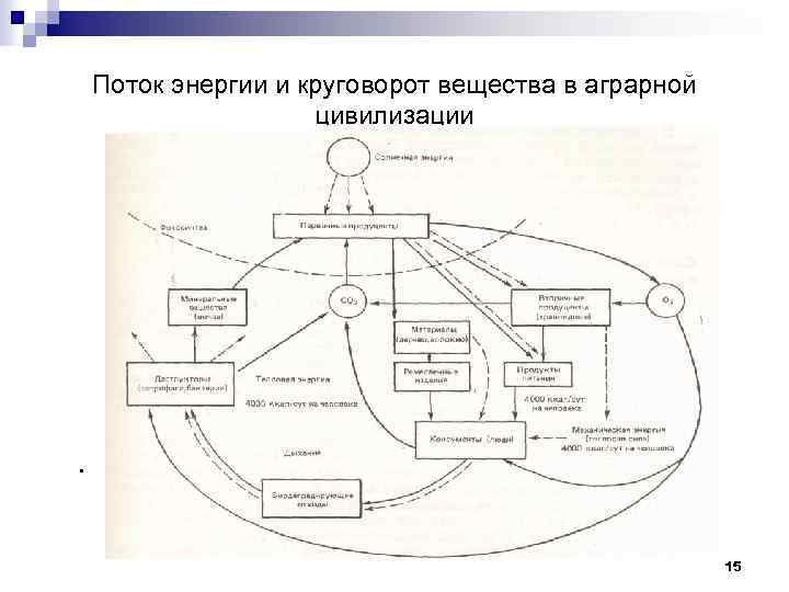 Поток энергии и круговорот вещества в аграрной цивилизации . 15 