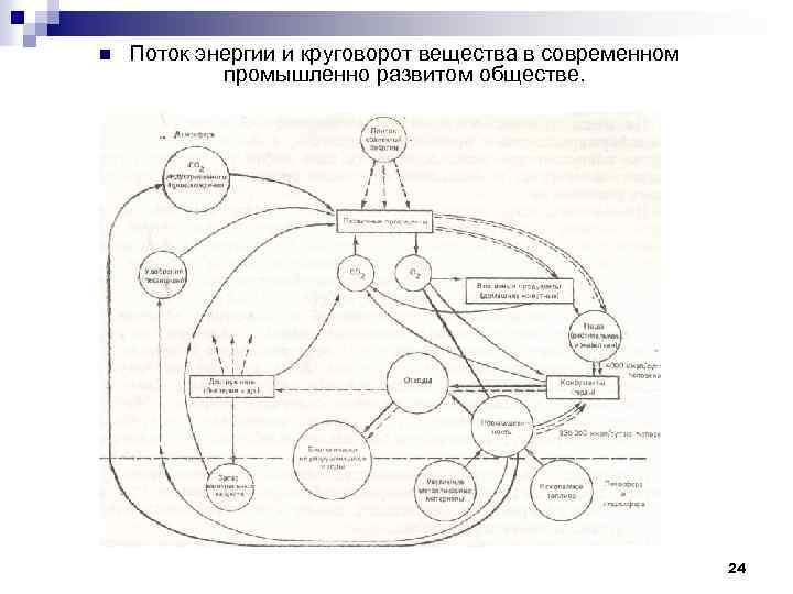 n Поток энергии и круговорот вещества в современном промышленно развитом обществе. 24 