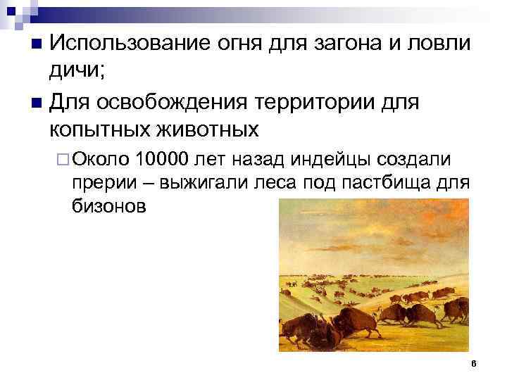 Использование огня для загона и ловли дичи; n Для освобождения территории для копытных животных