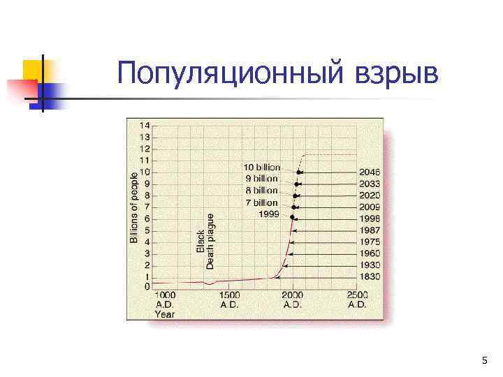 Популяционный взрыв 5 