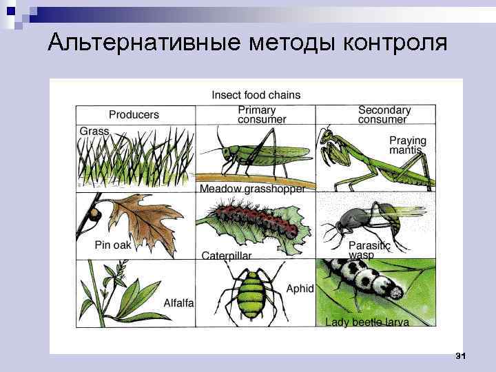 Альтернативные методы контроля 31 