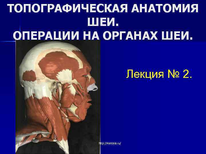 ТОПОГРАФИЧЕСКАЯ АНАТОМИЯ ШЕИ. ОПЕРАЦИИ НА ОРГАНАХ ШЕИ. Лекция № 2. http: //4 anosia. ru/