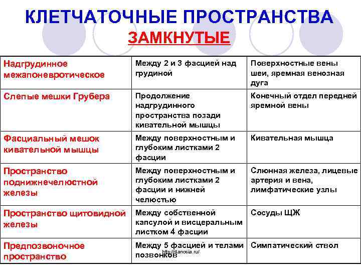 КЛЕТЧАТОЧНЫЕ ПРОСТРАНСТВА ЗАМКНУТЫЕ Надгрудинное межапоневротическое Между 2 и 3 фасцией над грудиной Поверхностные вены