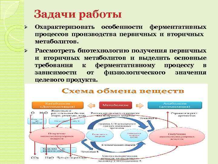 Производство курсовая