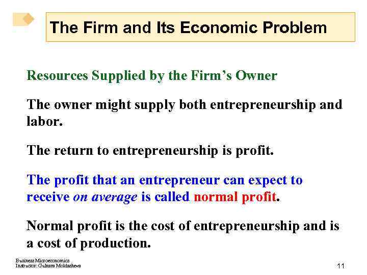 The Firm and Its Economic Problem Resources Supplied by the Firm’s Owner The owner