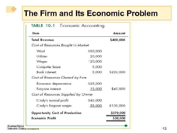 The Firm and Its Economic Problem Business Microeconomics Instructor: Gulnara Moldasheva 13 