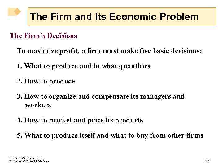 The Firm and Its Economic Problem The Firm’s Decisions To maximize profit, a firm