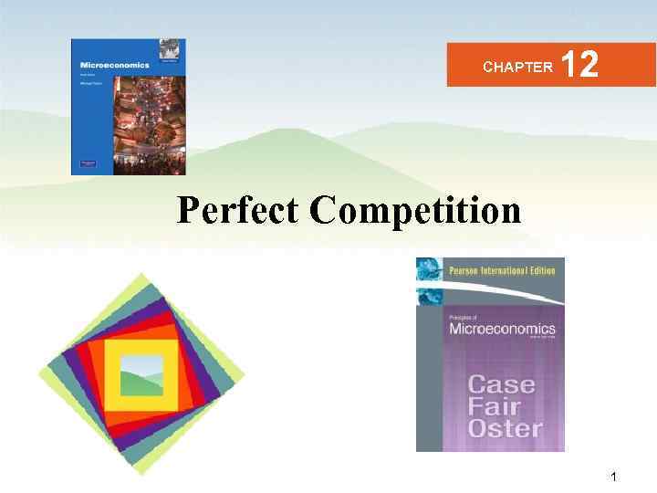 CHAPTER 12 Perfect Competition Business Microeconomics Instructor: Gulnara Moldasheva 1 