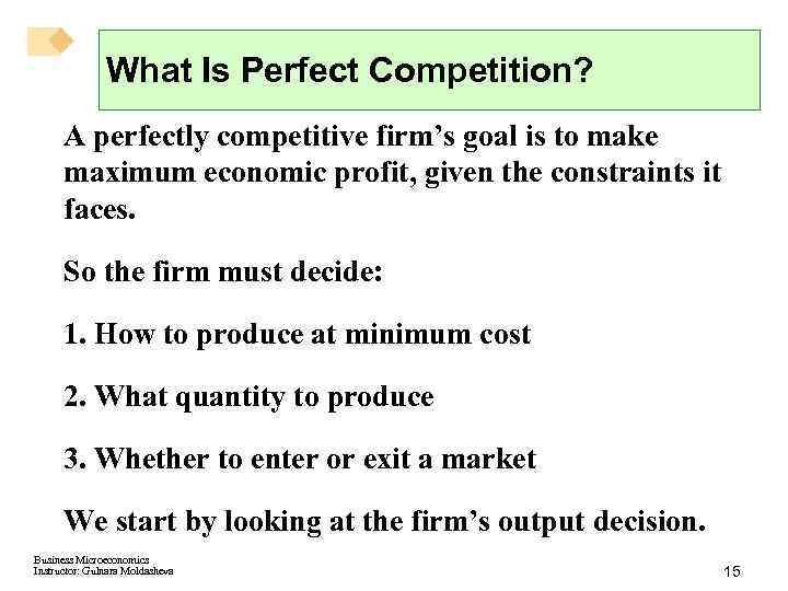 CHAPTER 12 Perfect Competition Business Microeconomics Instructor Gulnara