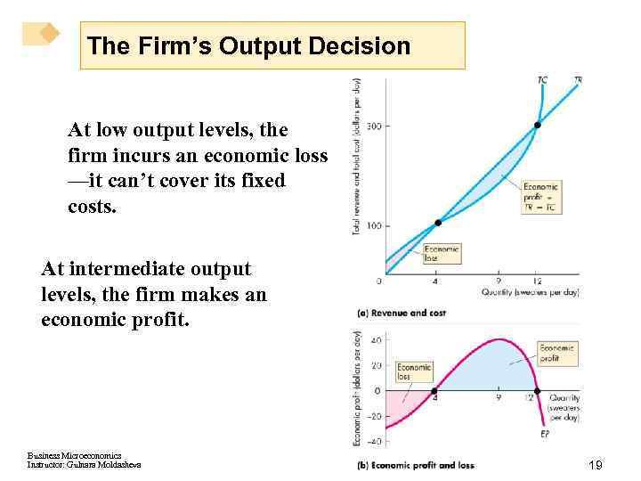 The Firm’s Output Decision At low output levels, the firm incurs an economic loss