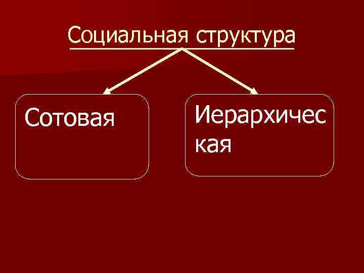 Социальная структура Сотовая Иерархичес кая 