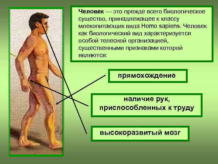 Человек — это прежде всего биологическое существо, принадлежащее к классу млекопитающих вида Homo sapiens.