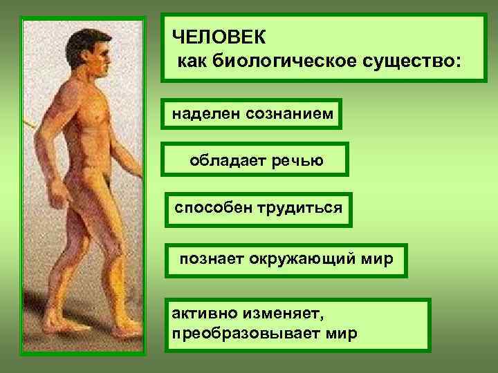 ЧЕЛОВЕК как биологическое существо: наделен сознанием обладает речью способен трудиться познает окружающий мир активно