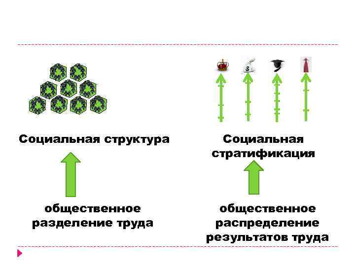 Социальная структура общественное разделение труда Социальная стратификация общественное распределение результатов труда 