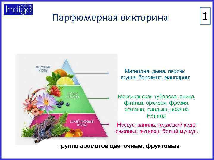 Парфюмерная викторина Магнолия, дыня, персик, груша, бергамот, мандарин; Мексиканская тубероза, слива, фиалка, орхидея, фрезия,