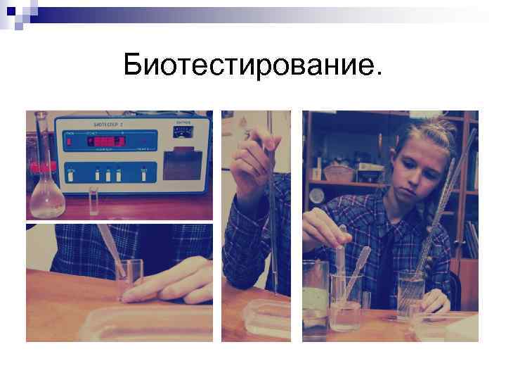 Биотестирование. 