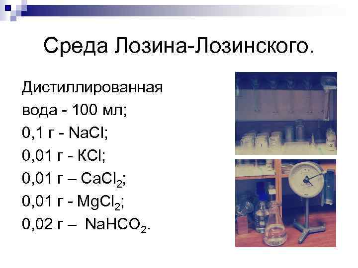 Среда Лозина-Лозинского. Дистиллированная вода - 100 мл; 0, 1 г - Na. Cl; 0,