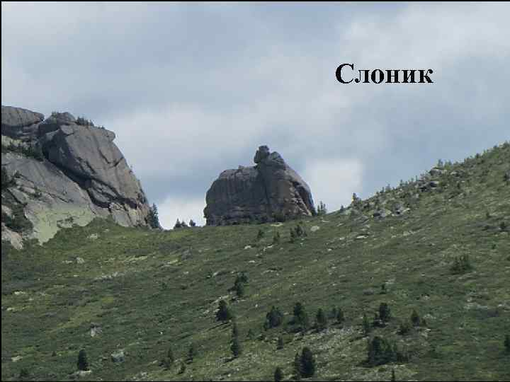 Верблюд Слоник Замок 