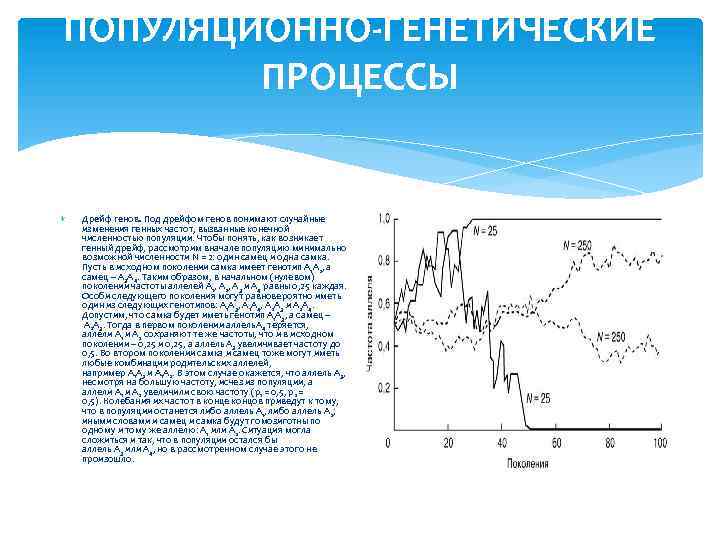 ПОПУЛЯЦИОННО-ГЕНЕТИЧЕСКИЕ ПРОЦЕССЫ Дрейф генов. Под дрейфом генов понимают случайные изменения генных частот, вызванные конечной