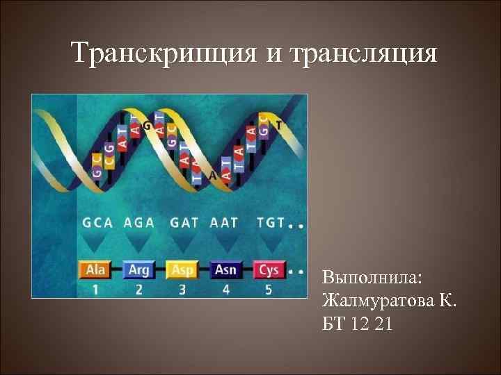 Транскрипция и трансляция Выполнила: Жалмуратова К. БТ 12 21 