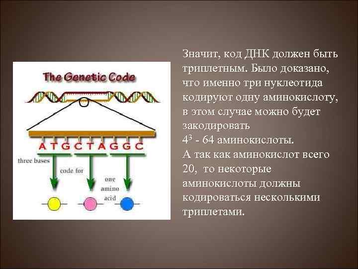 Значит, код ДНК должен быть триплетным. Было доказано, что именно три нуклеотида кодируют одну