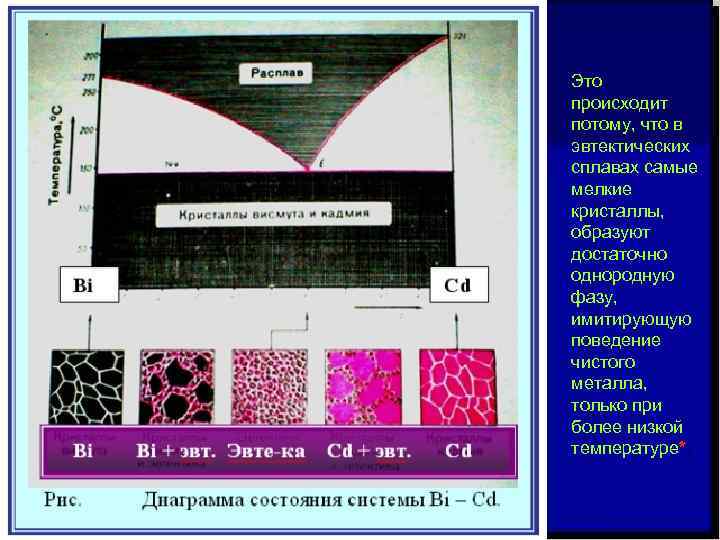 СИСТЕМА ВИСМУТ - КАДМИЙ Это происходит потому, что в эвтектических сплавах самые мелкие кристаллы,