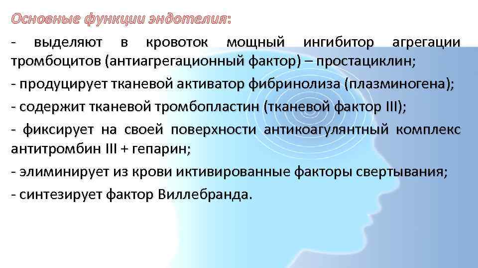 Основные функции эндотелия: - выделяют в кровоток мощный ингибитор агрегации тромбоцитов (антиагрегационный фактор) –