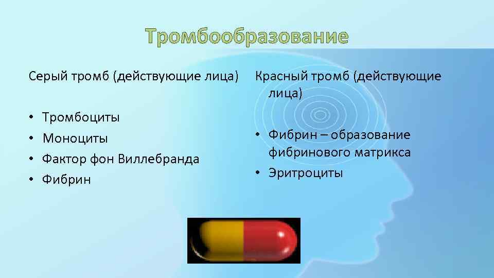 Серый тромб (действующие лица) • • Тромбоциты Моноциты Фактор фон Виллебранда Фибрин Красный тромб