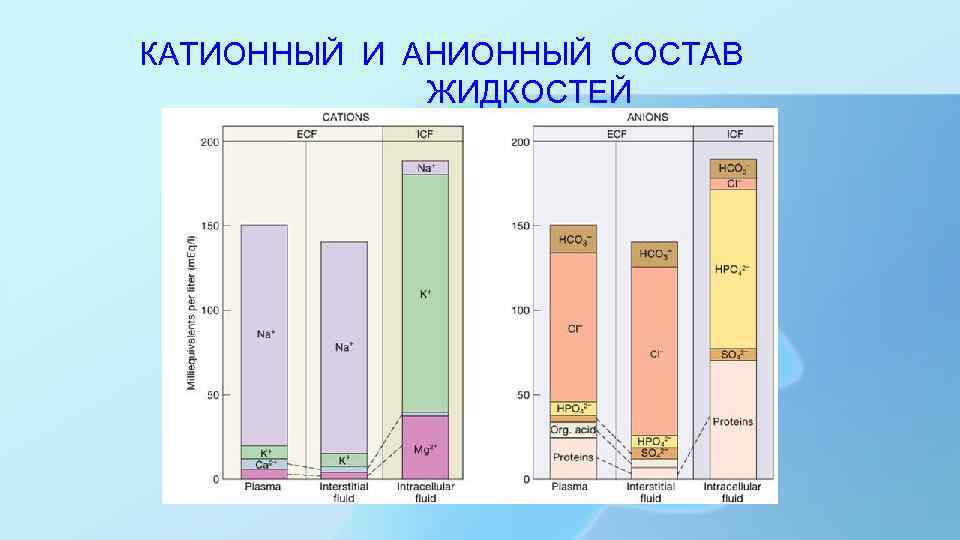 КАТИОННЫЙ И АНИОННЫЙ СОСТАВ ЖИДКОСТЕЙ 