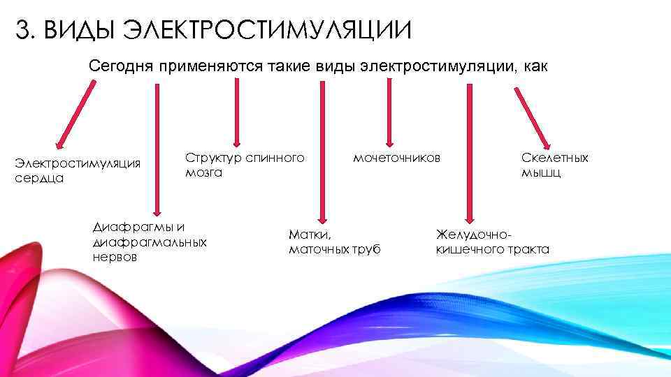 3. ВИДЫ ЭЛЕКТРОСТИМУЛЯЦИИ Сегодня применяются такие виды электростимуляции, как Электростимуляция сердца Структур спинного мозга