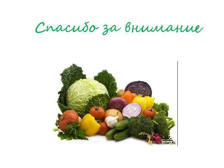 Спасибо за внимание 