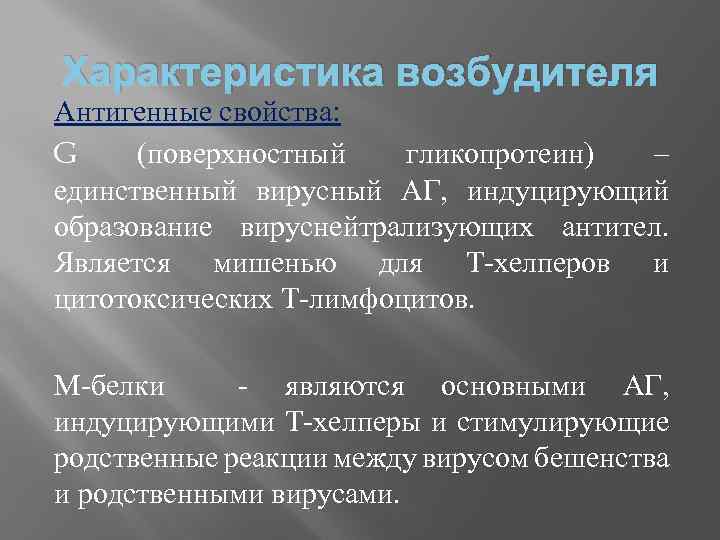 Характеристика возбудителя Антигенные свойства: G (поверхностный гликопротеин) – единственный вирусный АГ, индуцирующий образование вируснейтрализующих