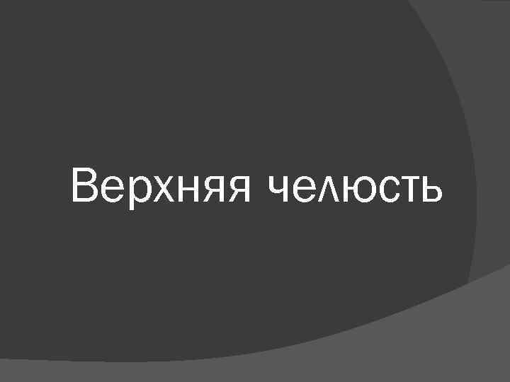 Верхняя челюсть 