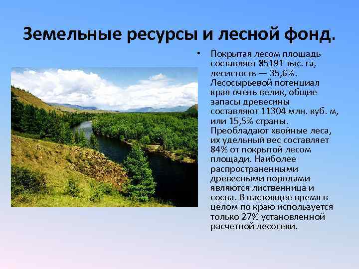Земельные ресурсы и лесной фонд. • Покрытая лесом площадь составляет 85191 тыс. га, лесистость