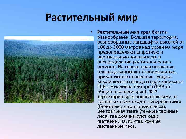 Растительный мир • Растительный мир края богат и разнообразен. Большая территория, разнообразные ландшафты высотой