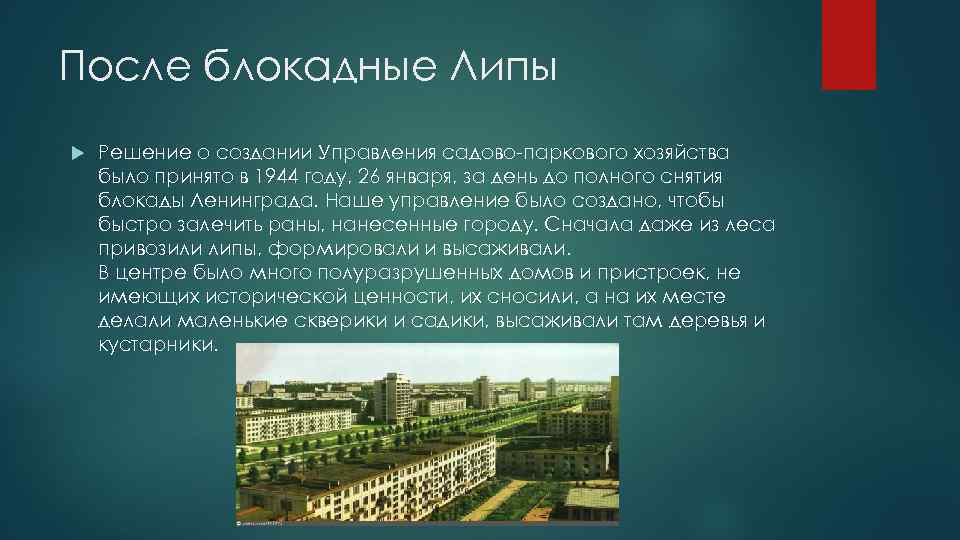 После блокадные Липы Решение о создании Управления садово-паркового хозяйства было принято в 1944 году,