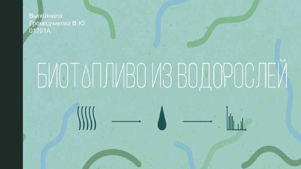 Выполнила Громадчикова В. Ю. 01701 А 