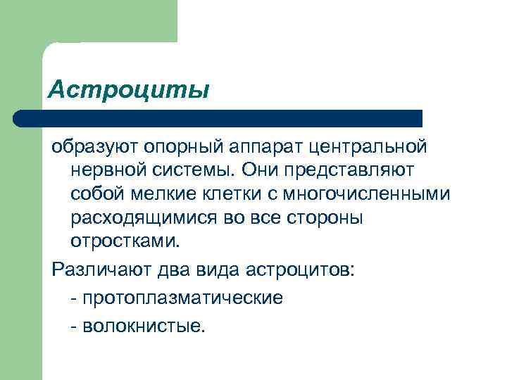 Астроциты образуют опорный аппарат центральной нервной системы. Они представляют собой мелкие клетки с многочисленными