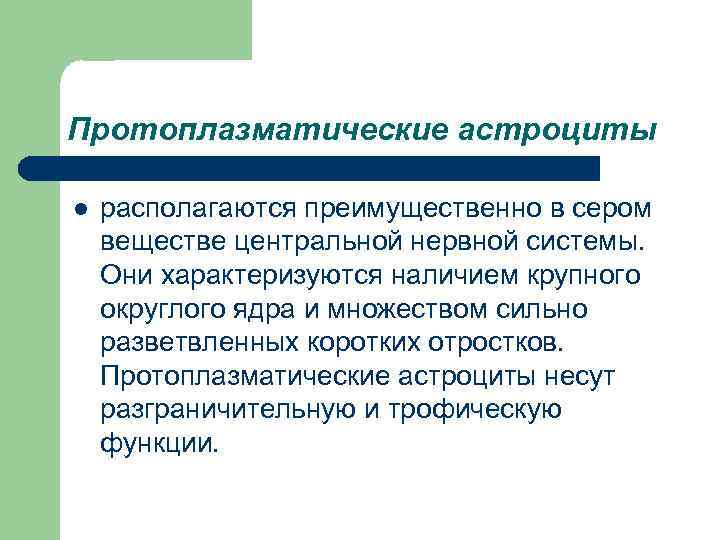 Протоплазматические астроциты l располагаются преимущественно в сером веществе центральной нервной системы. Они характеризуются наличием