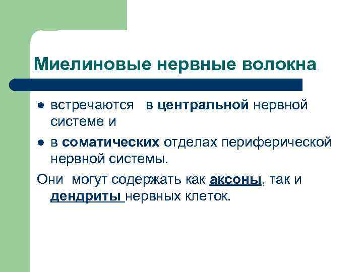 Миелиновые нервные волокна встречаются в центральной нервной системе и l в соматических отделах периферической