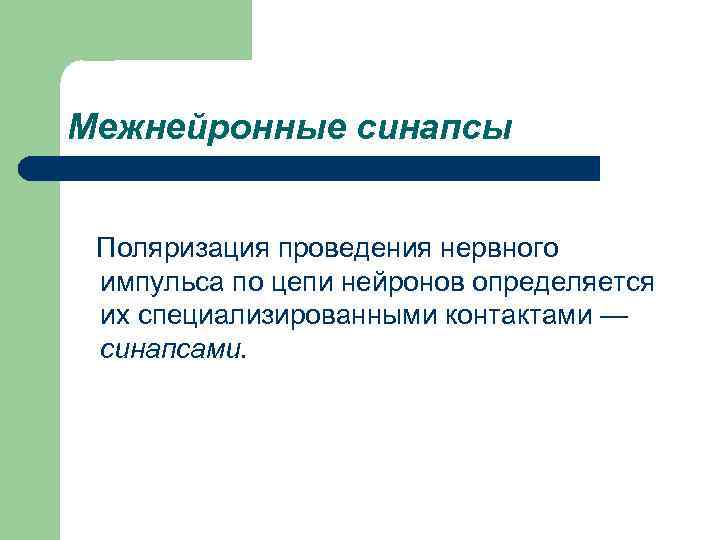 Межнейронные синапсы Поляризация проведения нервного импульса по цепи нейронов определяется их специализированными контактами —