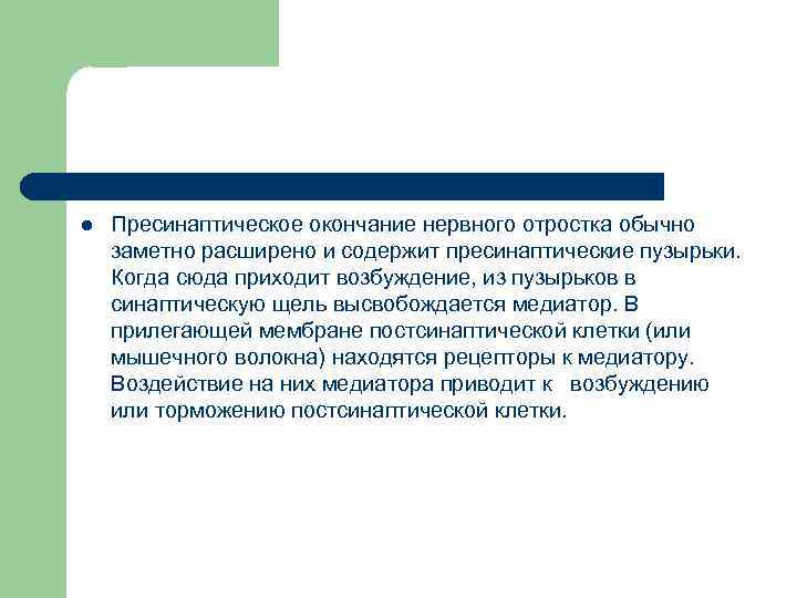 l Пресинаптическое окончание нервного отростка обычно заметно расширено и содержит пресинаптические пузырьки. Когда сюда